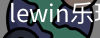 LEwin乐玩官网